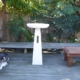 Albatross Birdbath