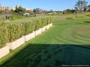 Concrete trough planters-straight sided