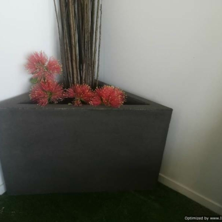 Corner Concrete Planter