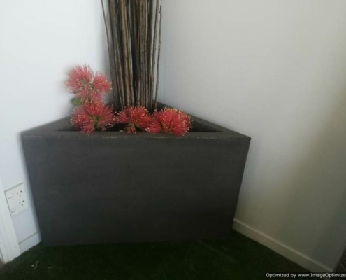 Corner Concrete Planter
