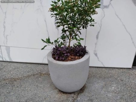 Round concrete planter - Egg pot planter