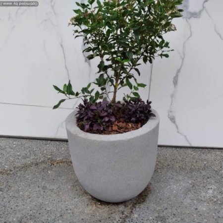 Round concrete planter - Egg pot planter