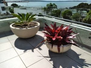 Half Sphere Planter