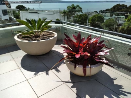 Half Sphere Planter