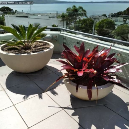 Half Sphere Planter