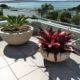 Half Sphere Planter