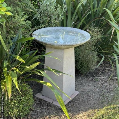 Large Moa Birdbath