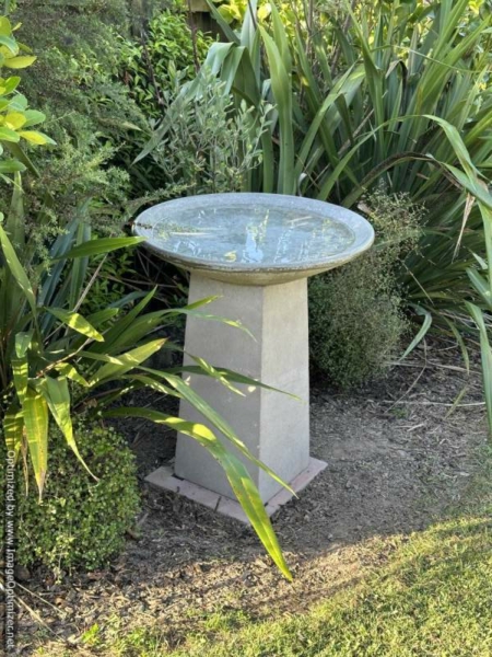 Large Moa Birdbath
