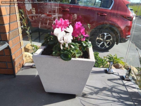 Concrete planter - wide tapered