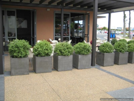 Concrete Cube Planter-Straight sided
