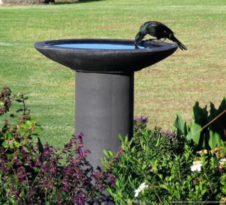 Sputnik Birdbath