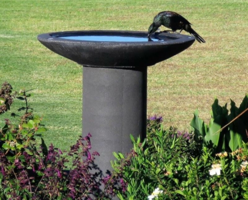 7. Summer Birdbaths