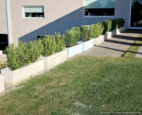 Beautiful concrete trough planters