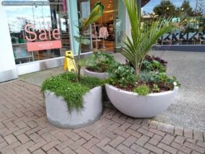 Grouped planters at shopping centre