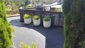 Polaris pots in a row