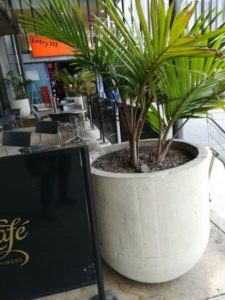 POlaris in the 700mm or 800mm size - grey sandstone