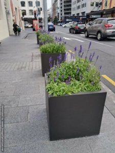3. Concrete Cube Planters