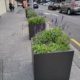 3. Concrete Cube Planters