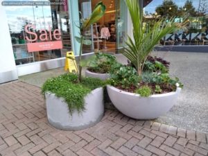 Half Sphere Planters