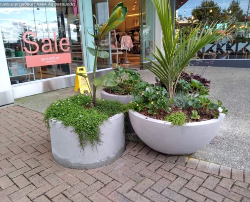Half Sphere Planters