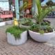Half Sphere Planters